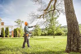Best Landscape Design and Installation  in Appleton City, MO